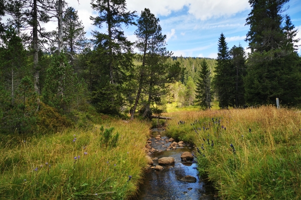 17. Moorlandschaft am Glaubenbergpass