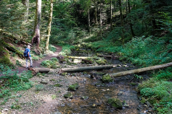 Dans les gorges de la vallée de Kaltbrunnen