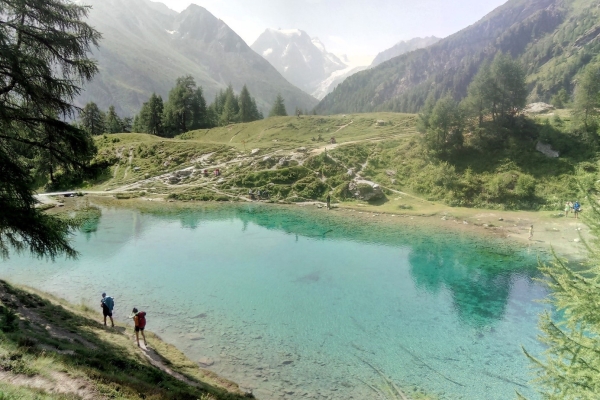 R 47 : Arolla - Cabane des Aiguilles Rouges - La Gouille - Lac Bleu