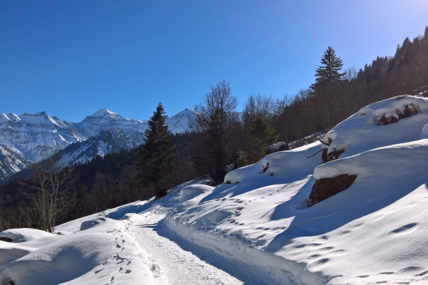 Höhenweg in Braunwald