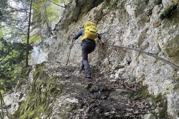 La mousse, reine des gorges de l’Orbe