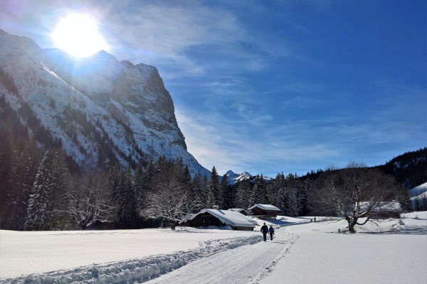 Auf weissen Wegen zur Schwarzwaldalp BE