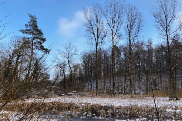 Le Reiat, dans le Parc naturel Schaffhouse