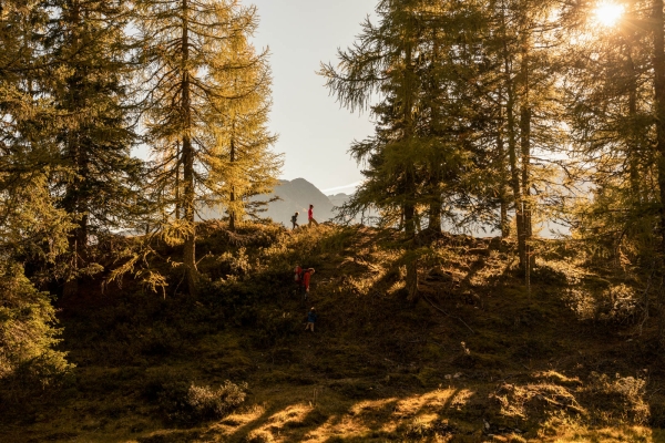 Chemin des charbonniers