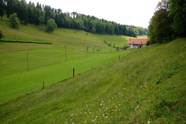 L'arrière-pays de Delémont