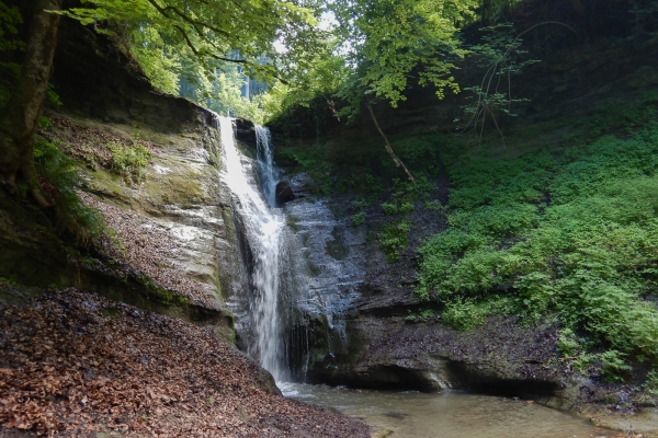 Les collines des Buchsiberge et Wynigenberge