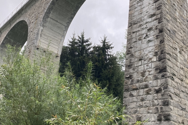 Halbtageswanderung von Mosnang über Müselbach nach Bazenheid