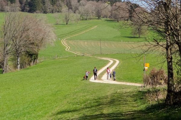 De Courgenay à St-Ursanne