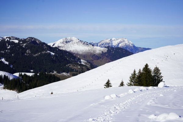 Leichte Schneeschuhwanderung auf dem Niederbauen