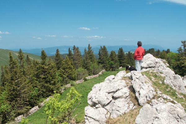 Chasseral