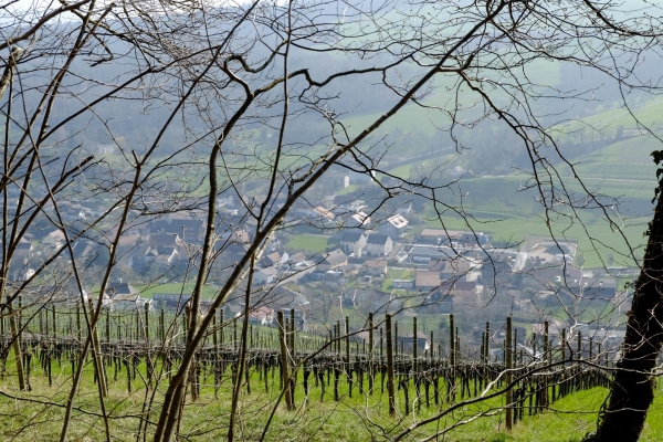 Le paysage varié du parc du Jura argovien