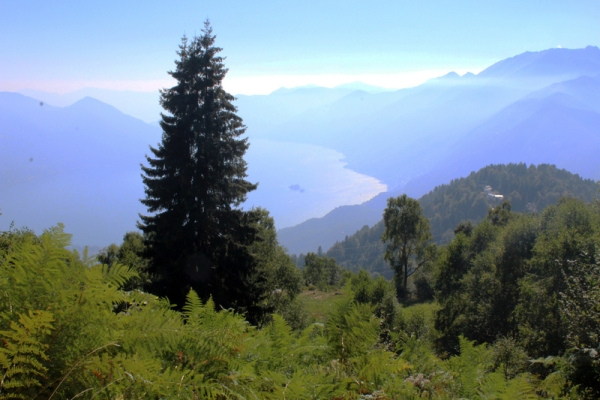 Cardada - Cima della Trosa