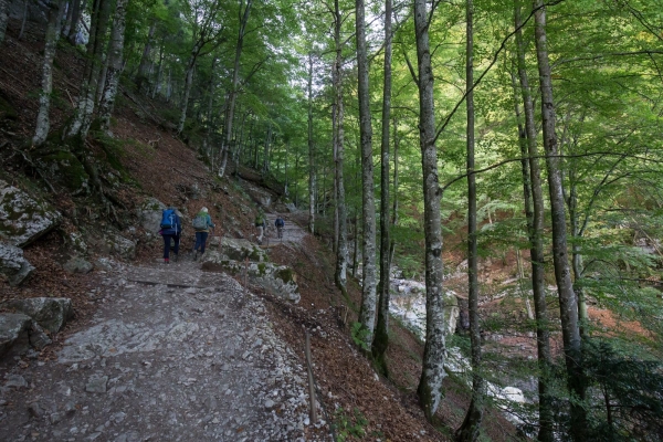 Steile Wanderung durch die Bogartenlücke auf der ruhigen Seite des Alpsteins