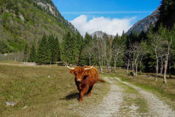 Wanderung der Calancasca entlang im Parco Val Calanca