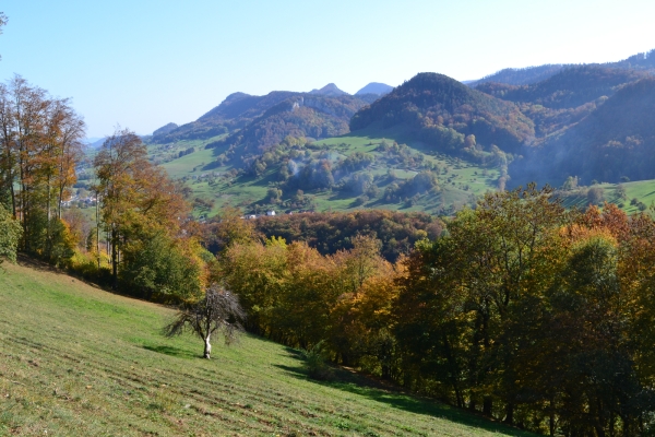 A pied dans le Schwarzbubenland