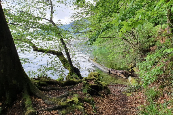 Le long du lac jusqu'à la Hohle Gasse