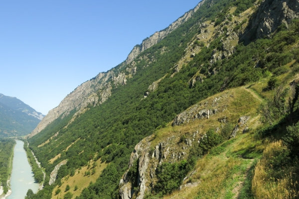 Raretés au coude du Rhône