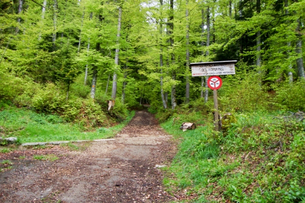 Entre forêts et pâturages