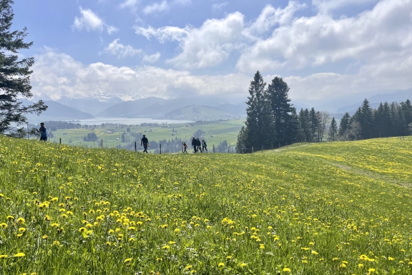 Randonnée panoramique entre les lacs de Zurich et 