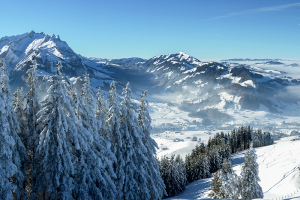 Auf den Fähnerenspitz