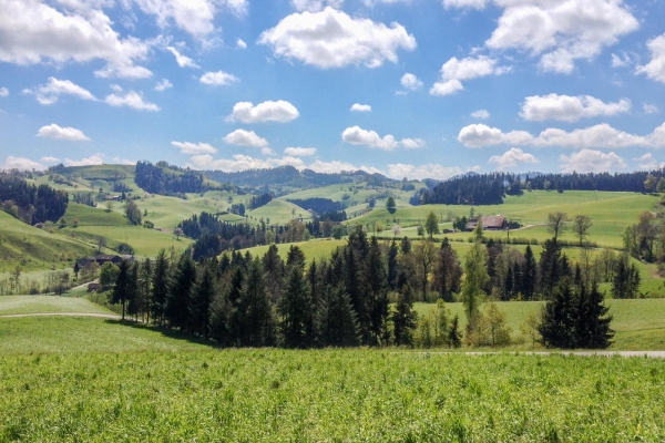 Montée vers le soleil dans la région du Napf