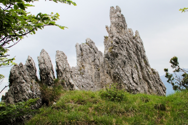 Rochers dentelés et forêts dans le Val Colla TI