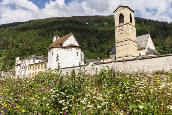 Fleurs et panorama au-dessus du Val Müstair