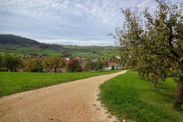 Im Jurapark Aargau 