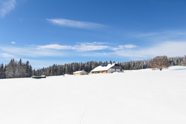 Mystisches Vallée de Joux