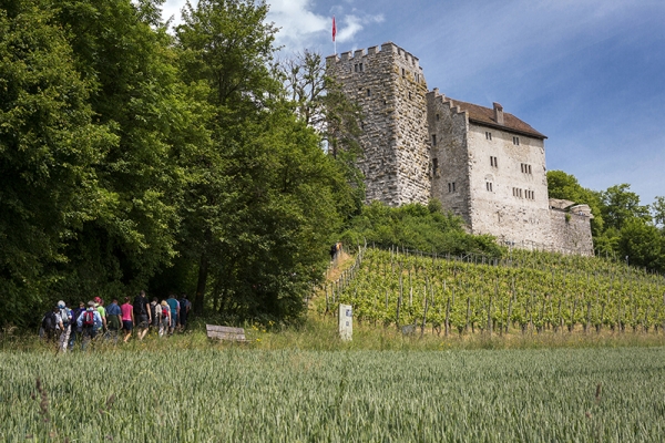 Von der Habsburg zum Schloss Wildegg