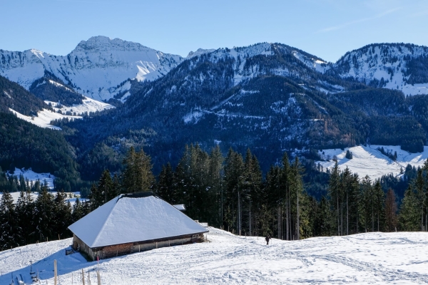 Schneeschuhwandern im freiburgischen Wintersportparadies