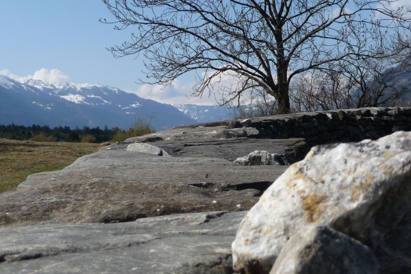 Auf dem Weinwanderweg