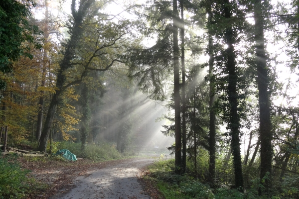 Grenzwandern in Schaffhausen