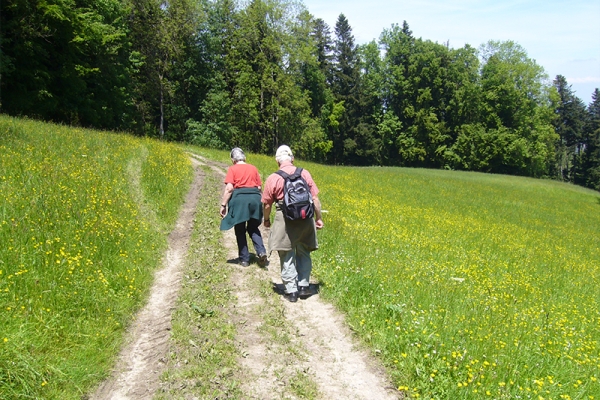 Zwischen Toggenburg und Fürstenland 