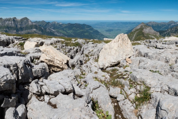 Hoch über Glarus auf den Gipfel des beliebten Schilt