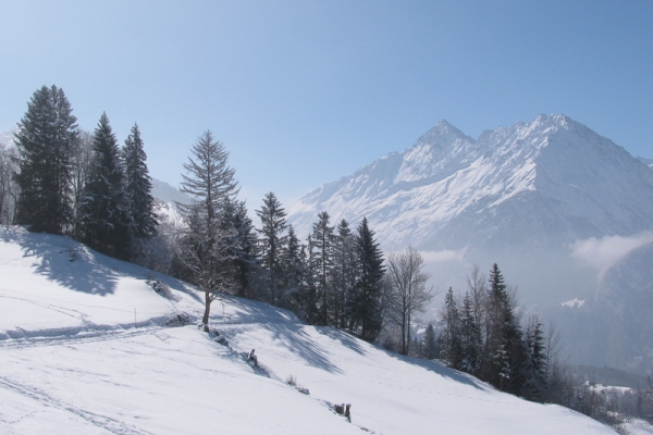 Hoch über dem Haslital