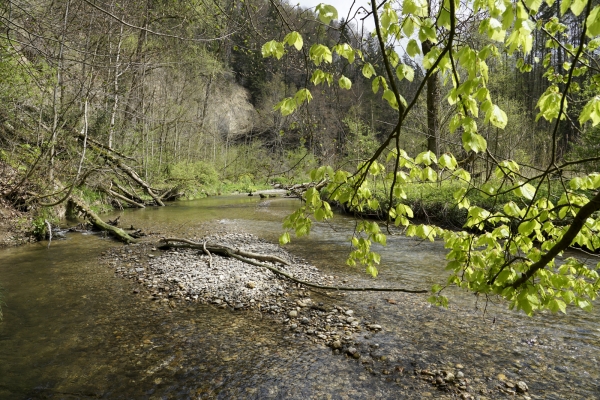 A travers des gorges sauvages en Suisse orientale