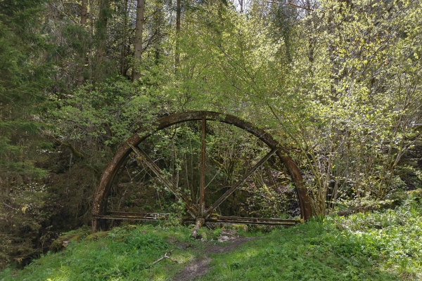 Wilde Schlucht in den Freibergen