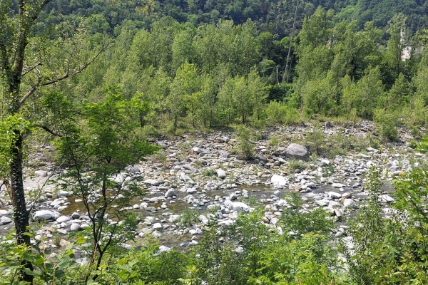 En pleine nature dans les Centovalli