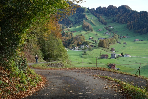 Randonnée du Wildspitz au Zugerberg