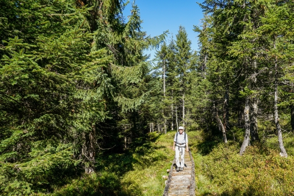 Von Unteriberg über den Spital nach Gross