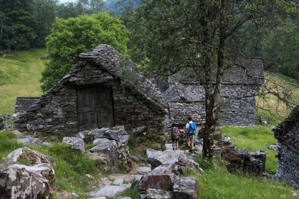 Lucciole sul fiume Verzasca