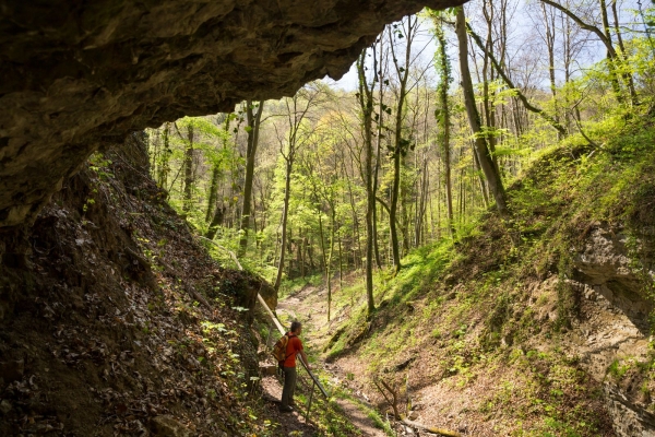 Randonnée dans l’Eiserne Hand, près de Bâle