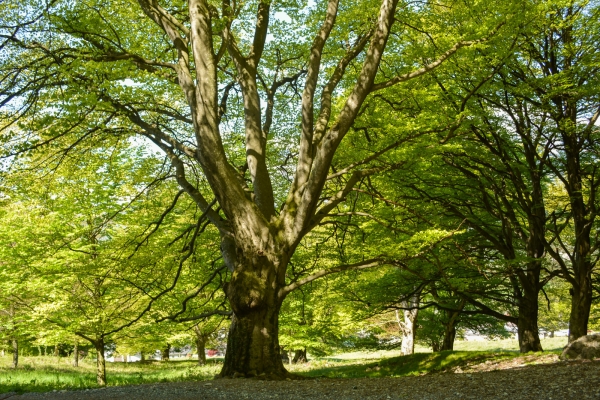 Découvrir la Principauté au printemps