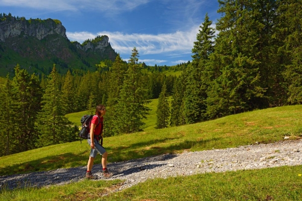 Marais enchanteur du Glaubenberg