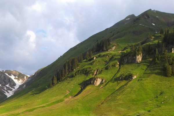 Alpages au-dessus du lac des Quatre-Cantons