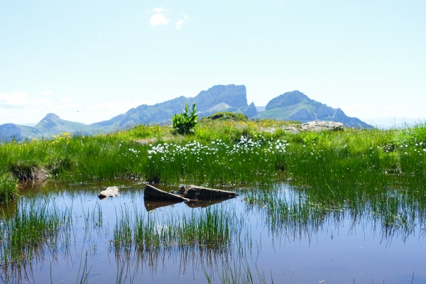 Durch die Karstlandschaft auf den Chäserrugg