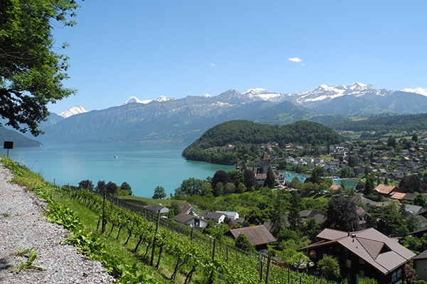 Dem See entlang von Gwatt nach Spiez