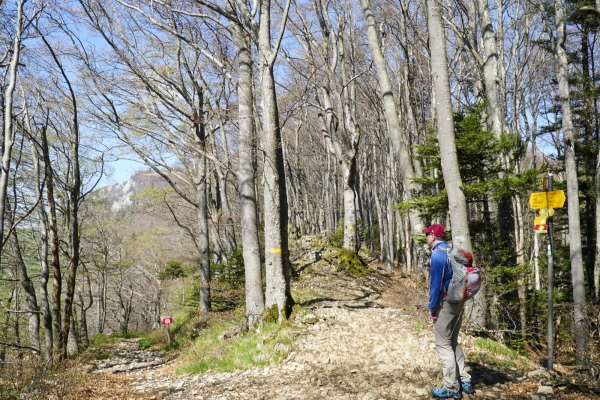 Les papillons du Wasserfallen