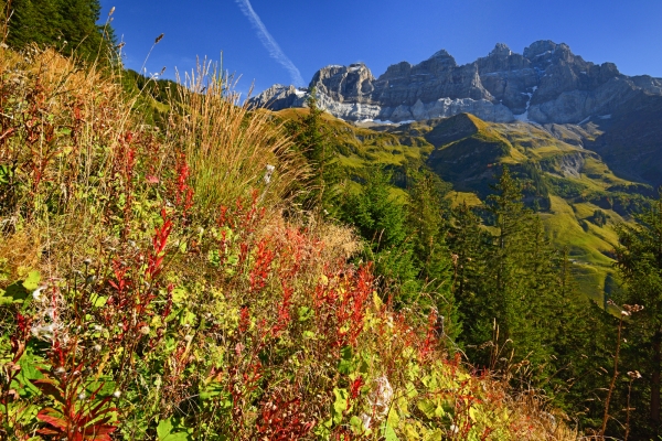 Am Fuss der Dents du Midi